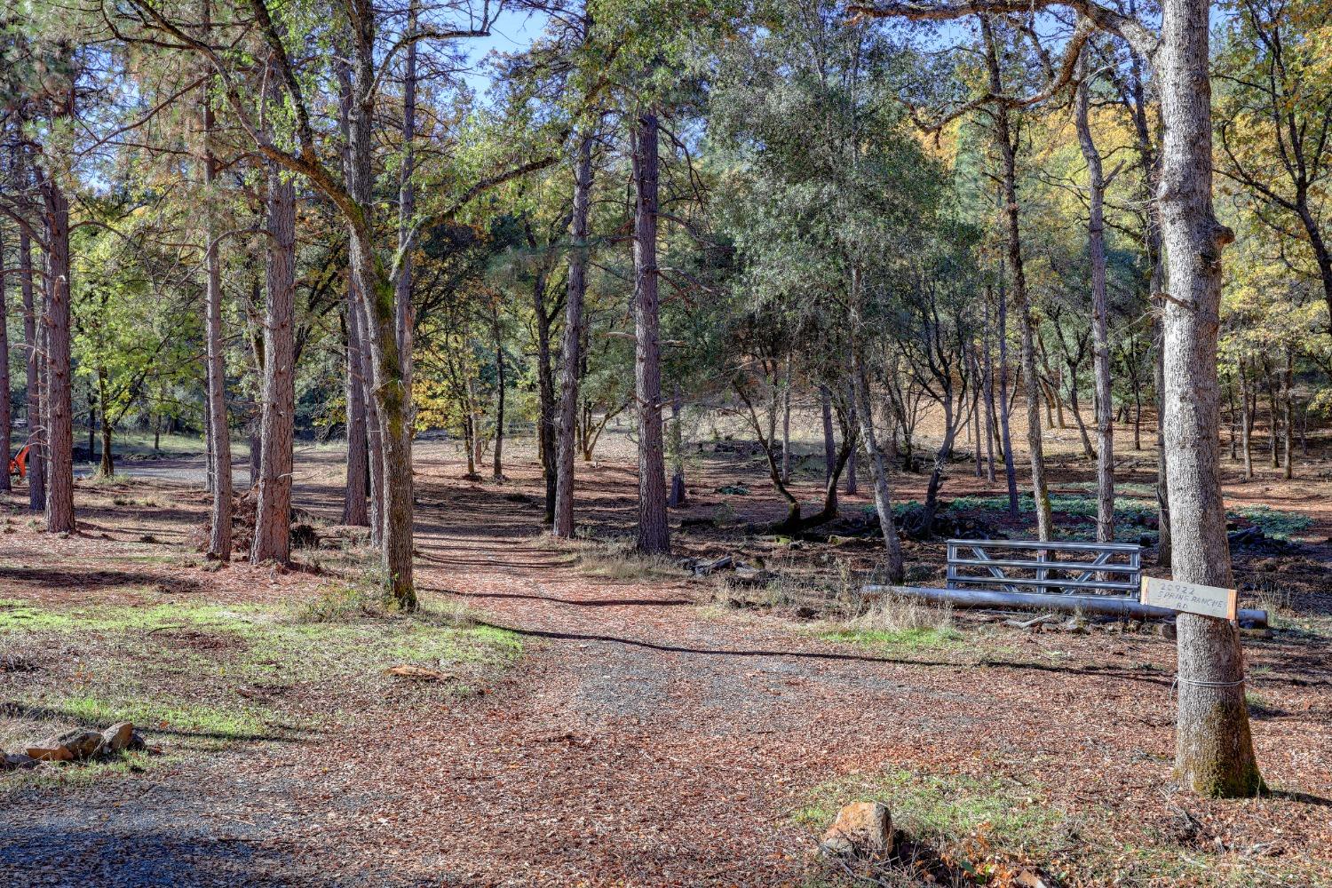 Spring Ranches Road, Grass Valley, California image 10