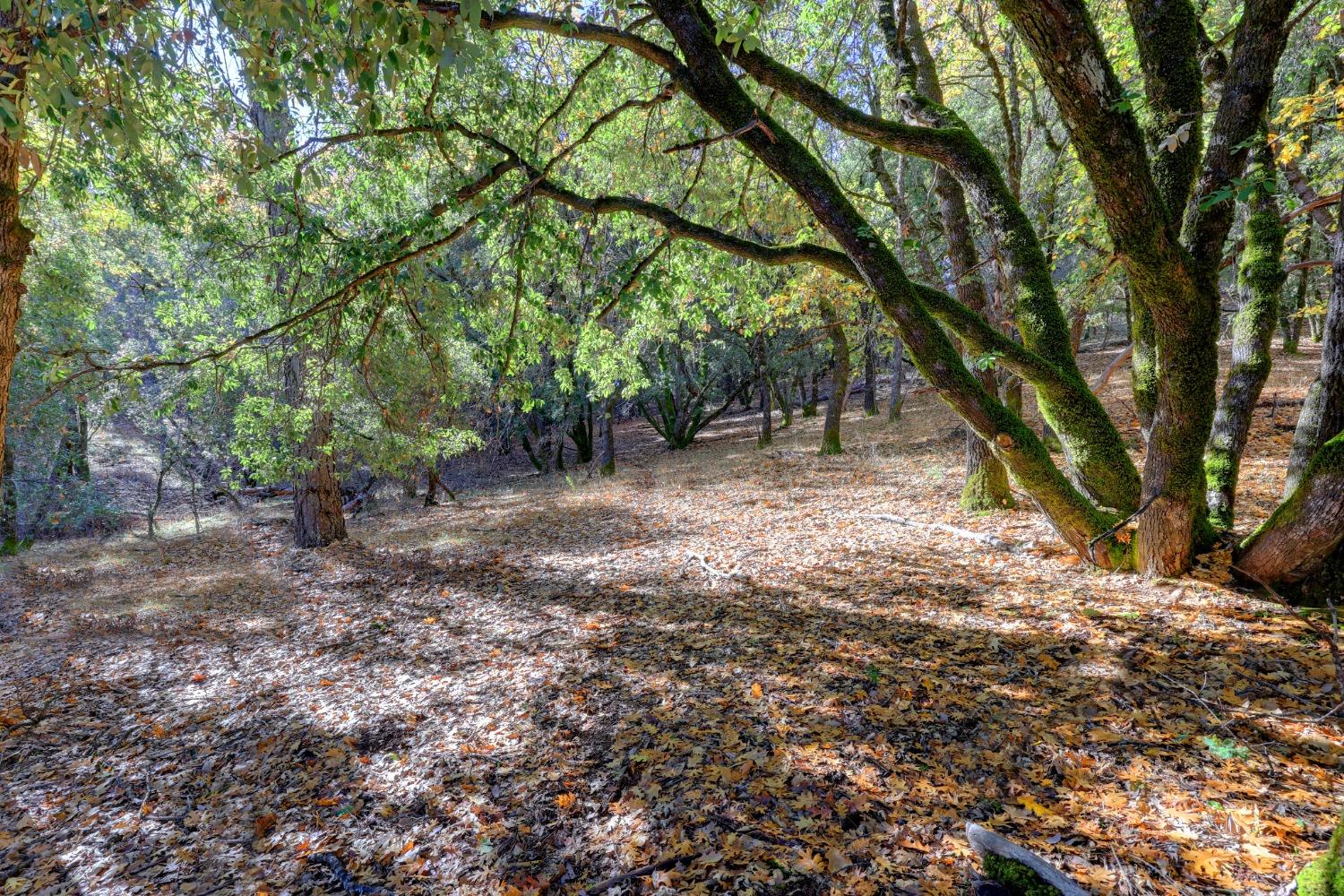 Spring Ranches Road, Grass Valley, California image 20