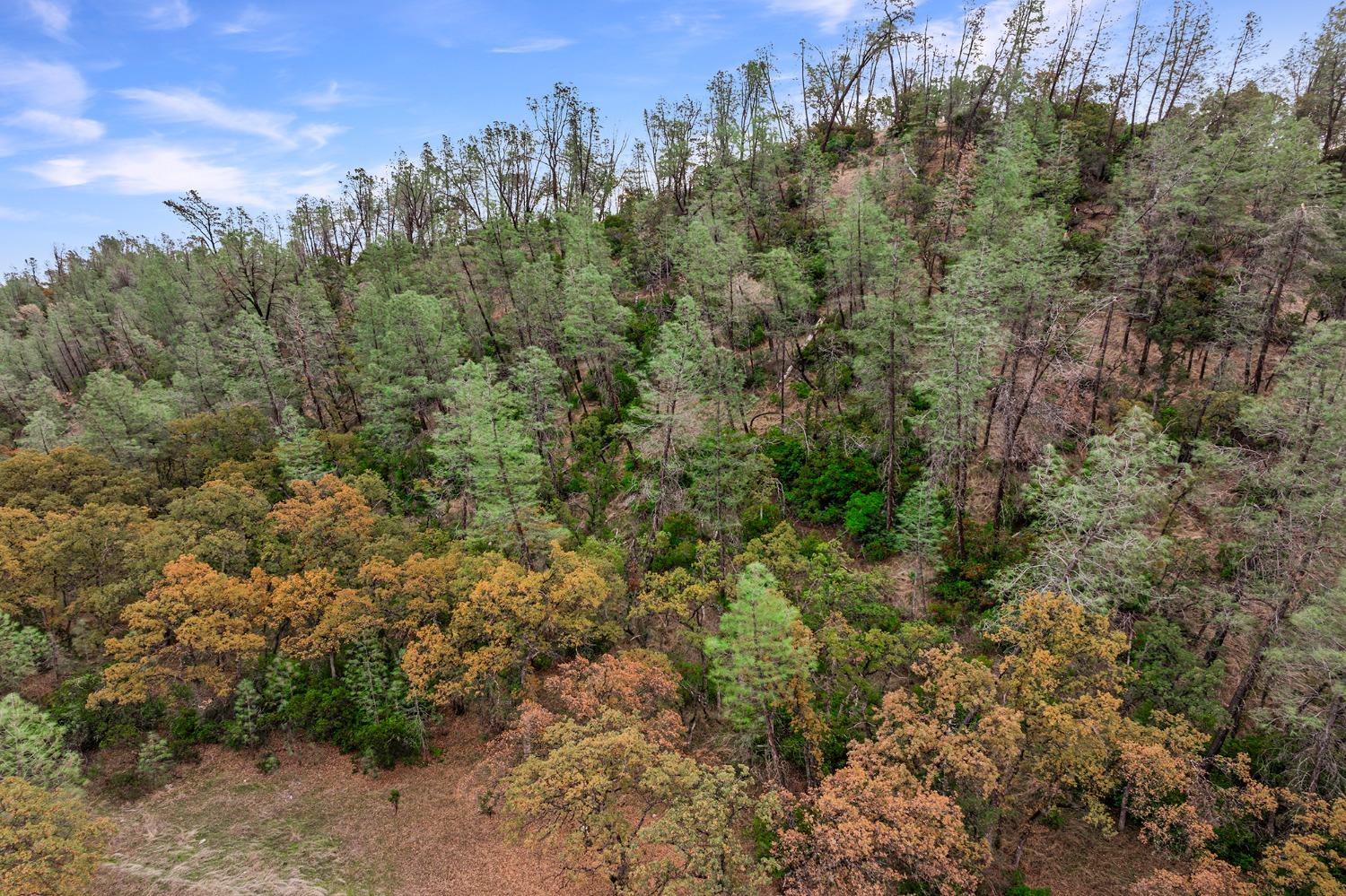 Rancho Tehama Road, Corning, California image 19