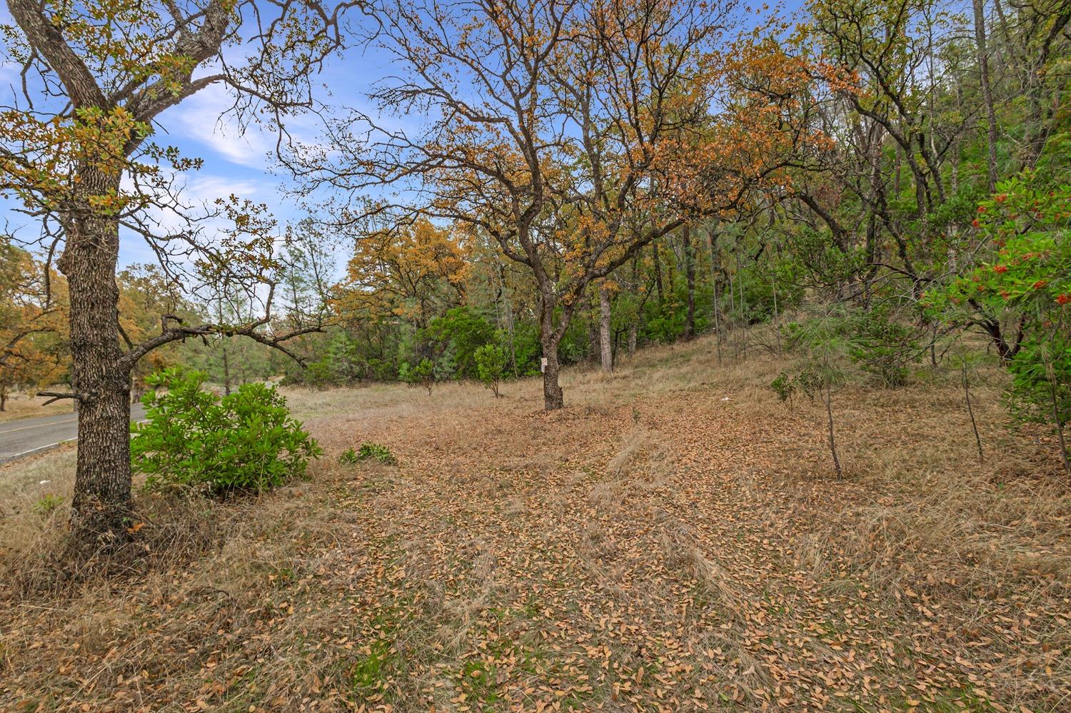 Rancho Tehama Road, Corning, California image 16