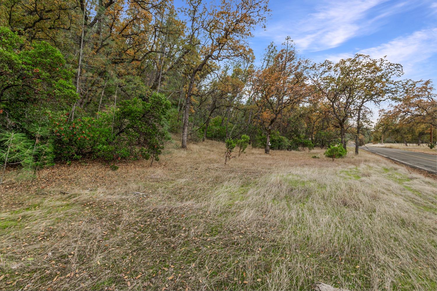 Rancho Tehama Road, Corning, California image 10