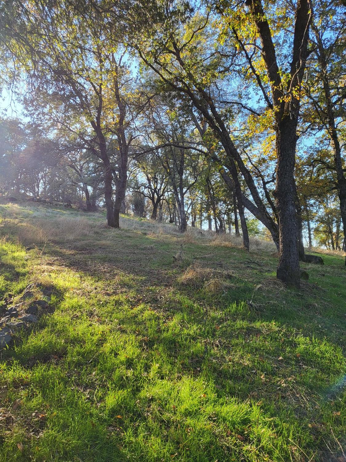 Boarman, Jackson, California image 3