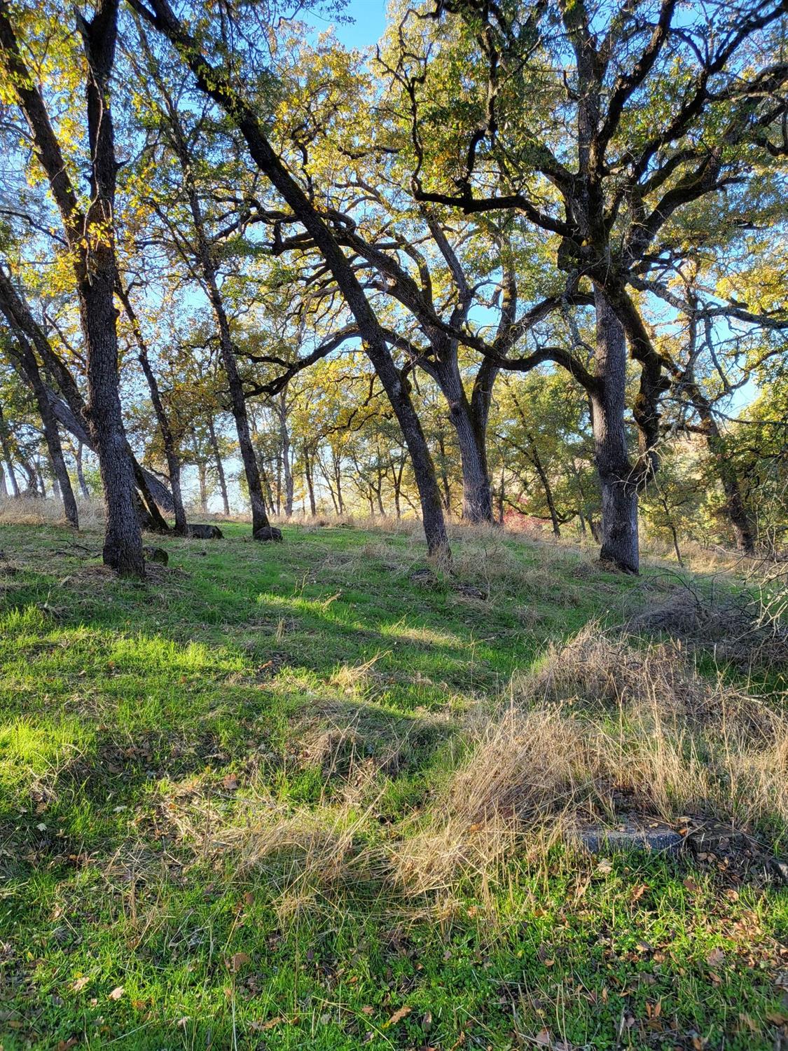 Kern, Jackson, California image 3