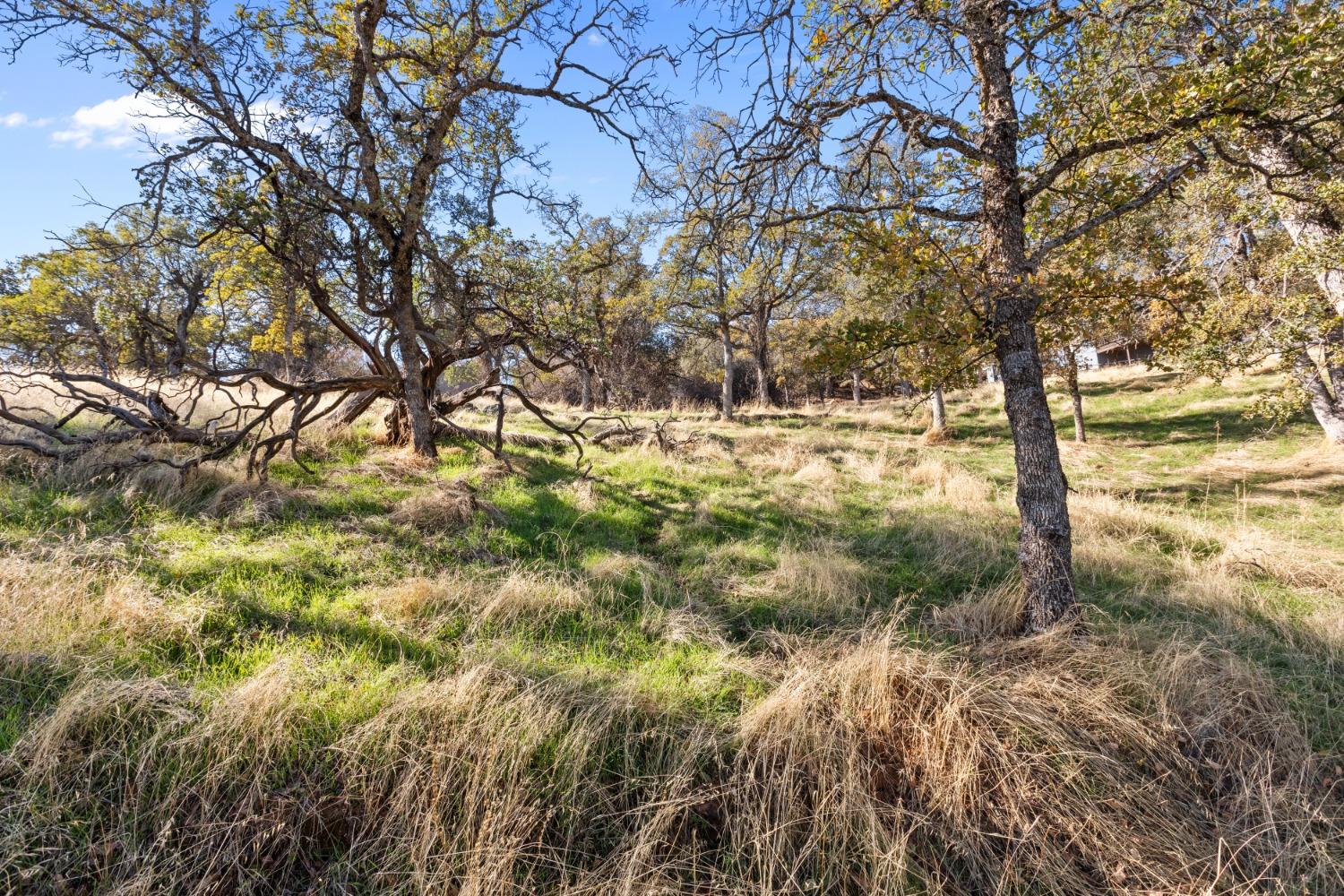 Bayview Drive, Copperopolis, California image 2