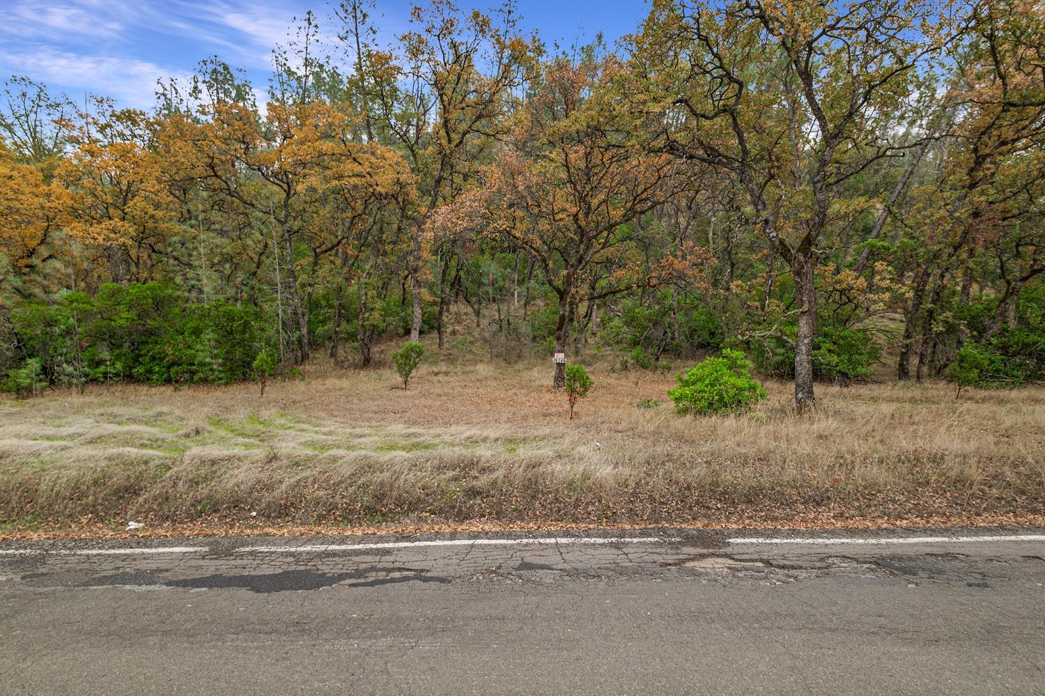 Rancho Tehama Road, Corning, California image 7