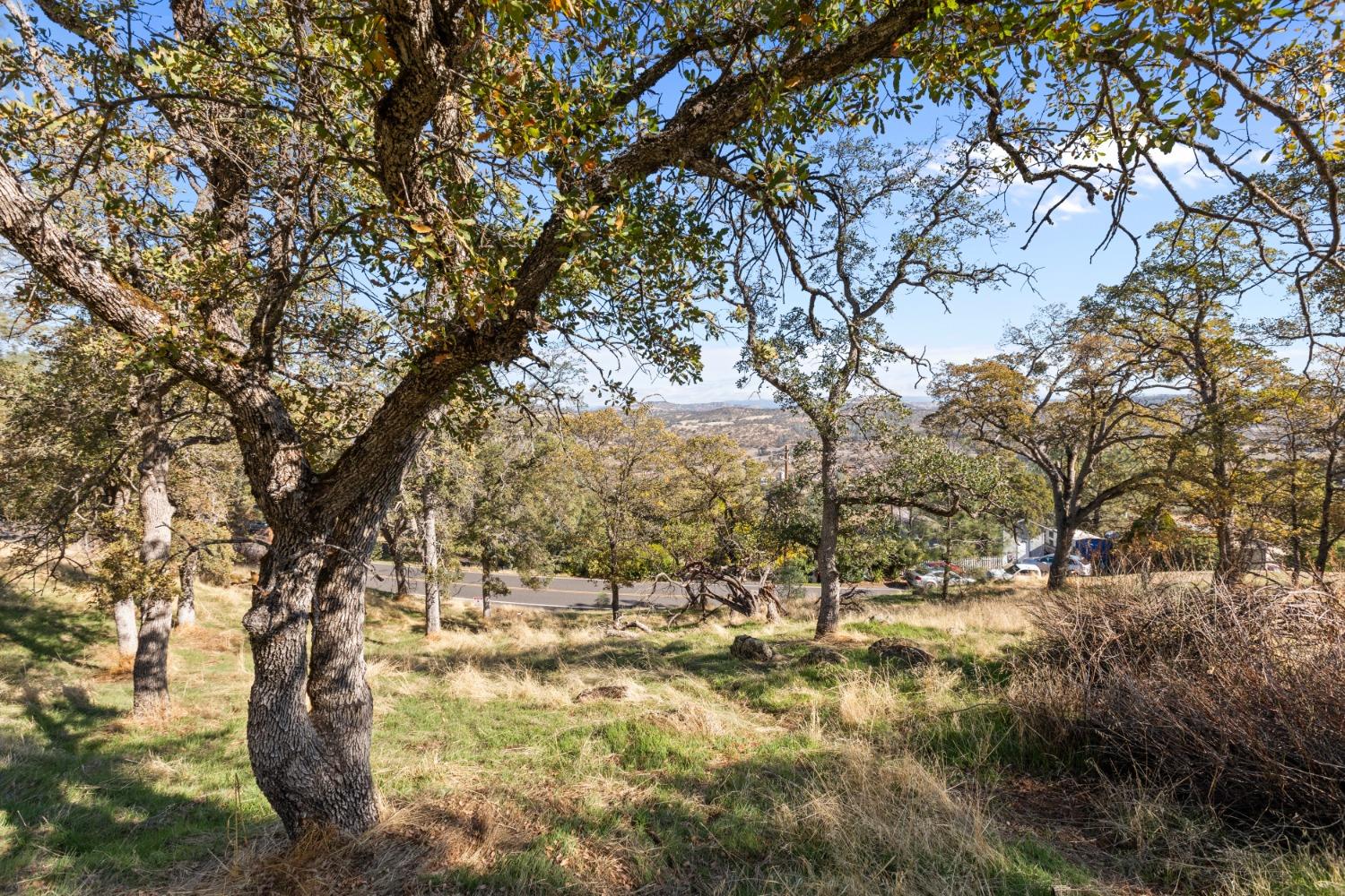 Bayview Drive, Copperopolis, California image 3