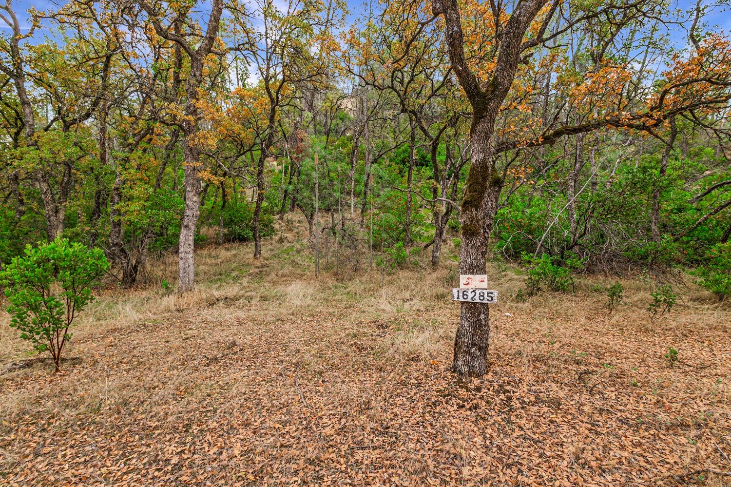 Rancho Tehama Road, Corning, California image 11