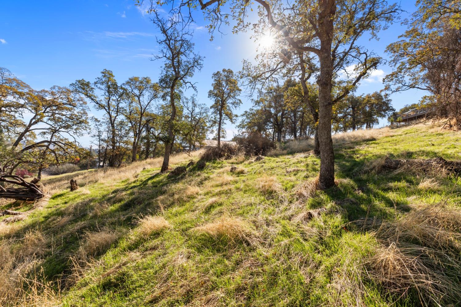 Bayview Drive, Copperopolis, California image 6