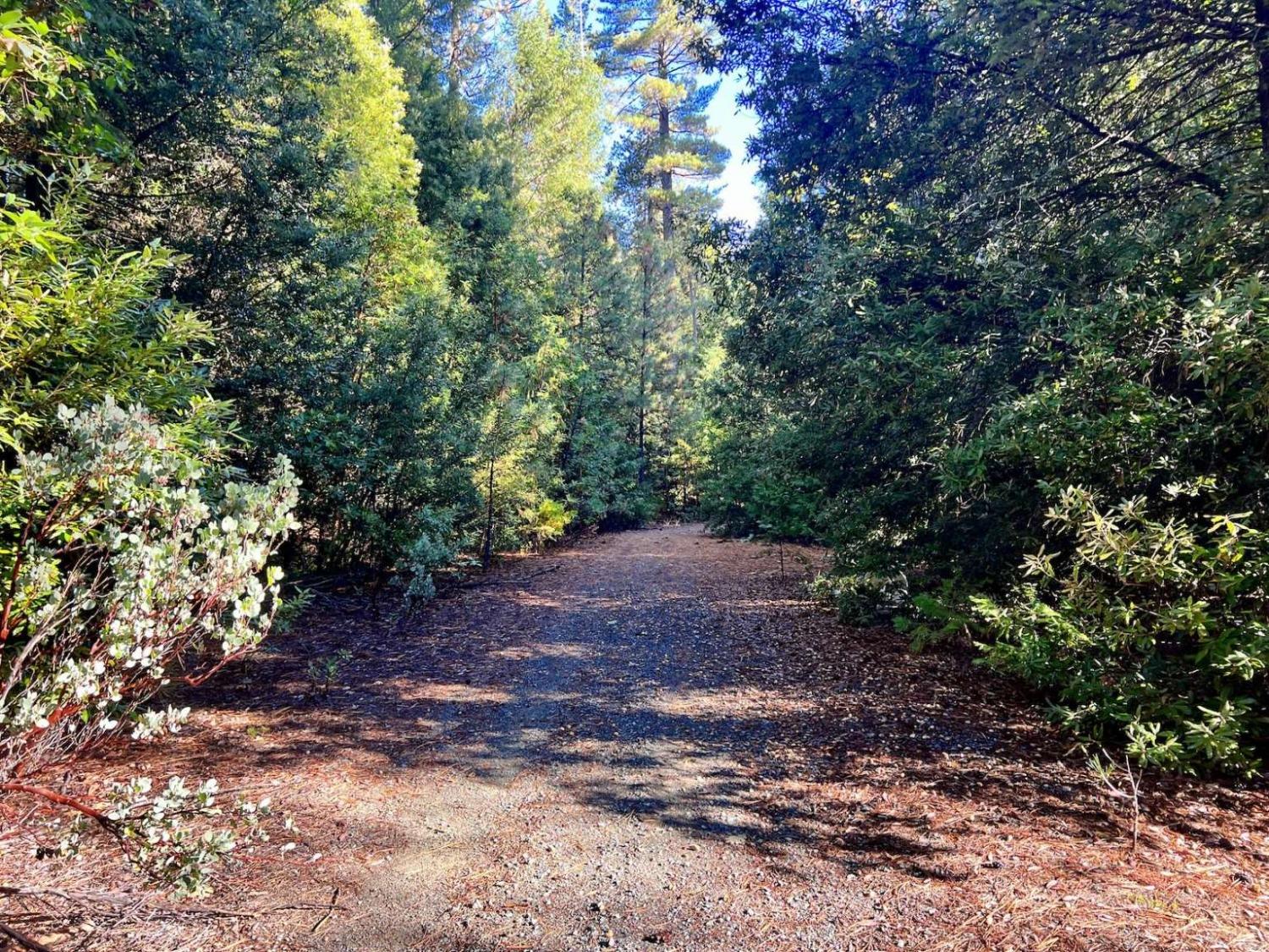 Sleighbell Court, Georgetown, California image 3