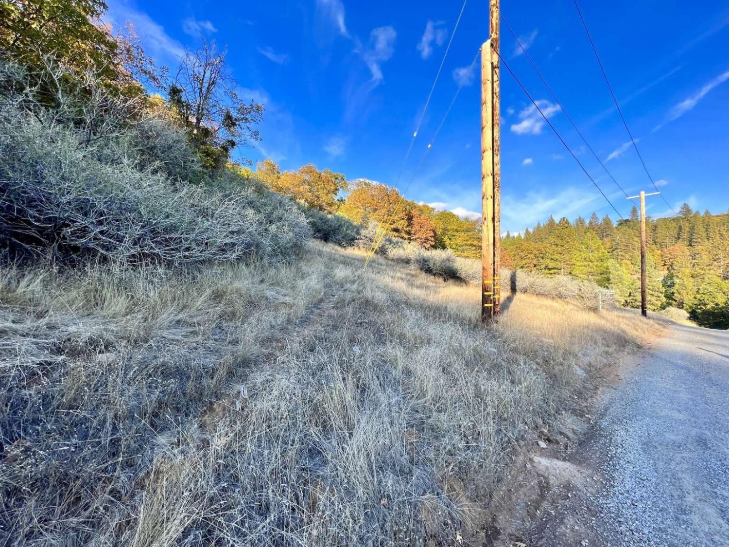 Moonflower Lane, Pollock Pines, California image 23