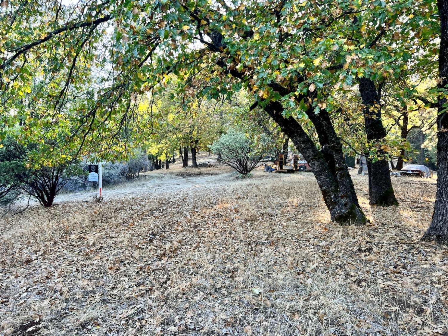 Moonflower Lane, Pollock Pines, California image 5