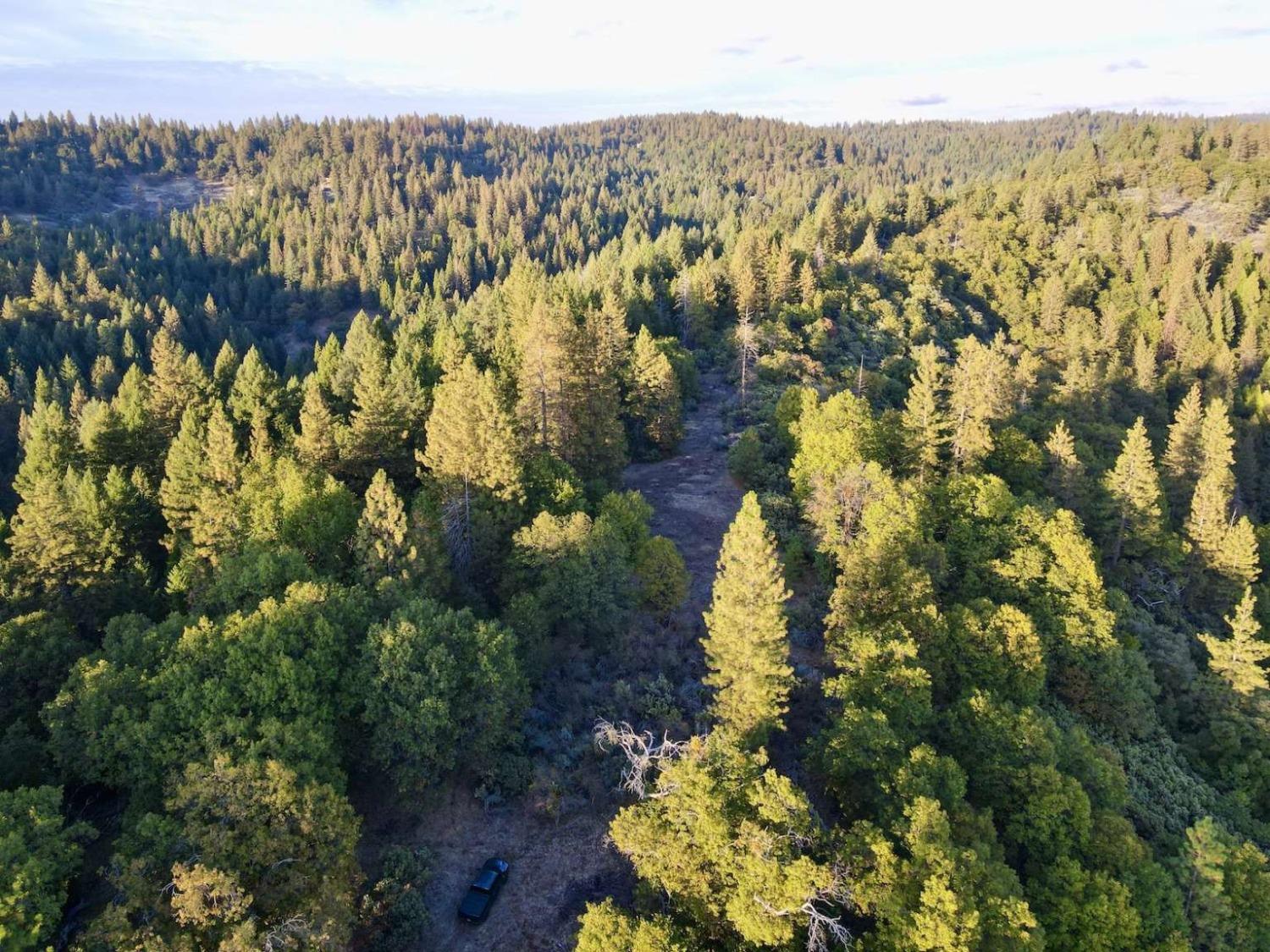 Moonflower Lane, Pollock Pines, California image 18