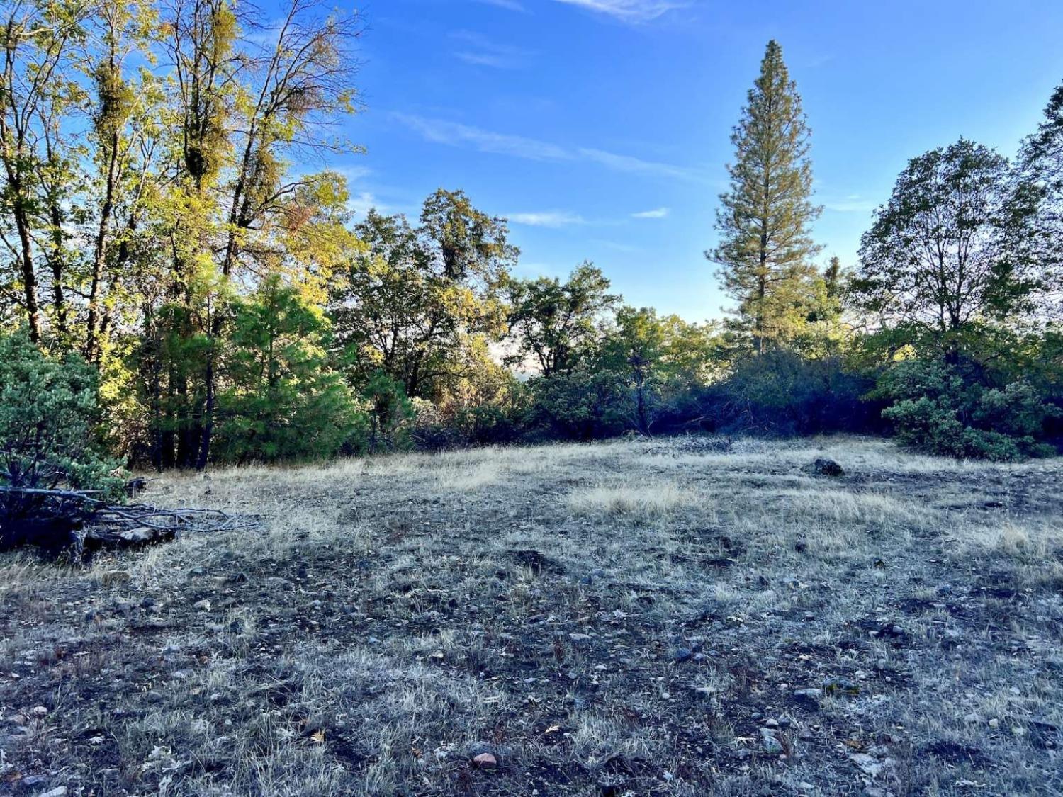 Moonflower Lane, Pollock Pines, California image 21