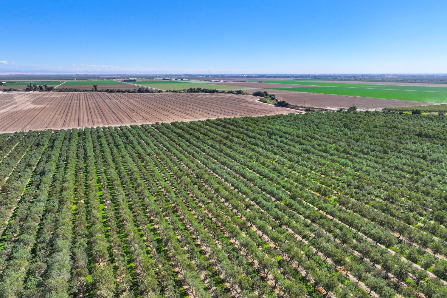 S Vista Avenue, Chowchilla, California image 9