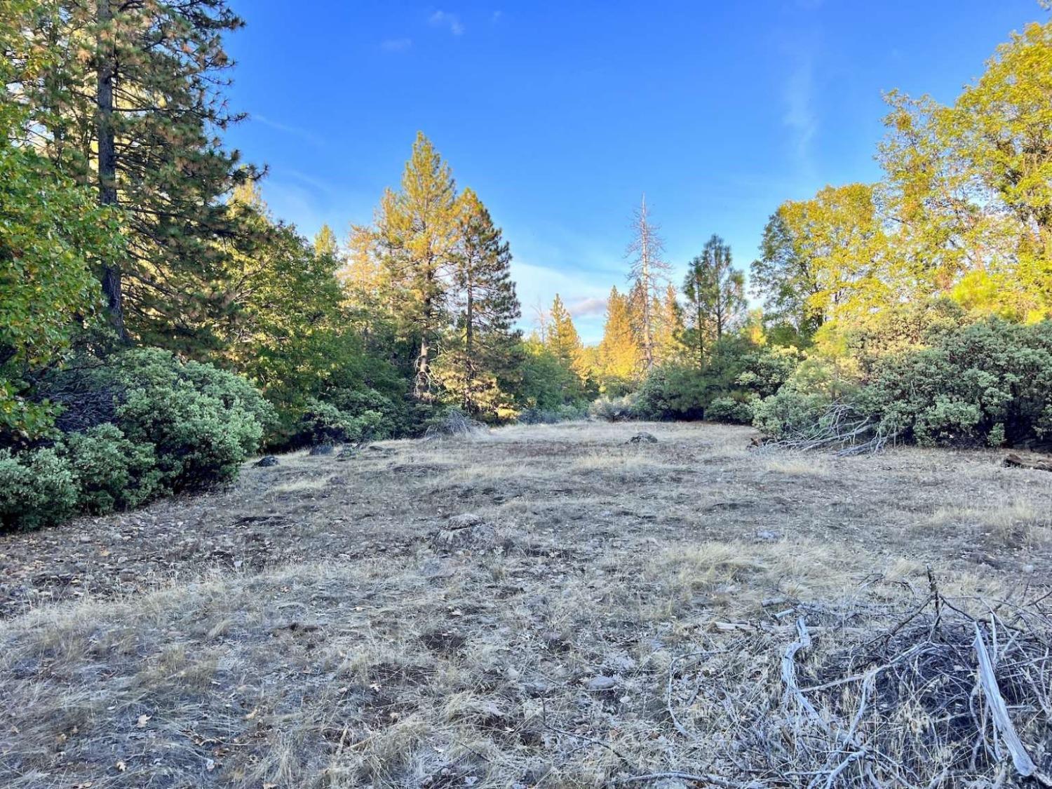 Moonflower Lane, Pollock Pines, California image 3