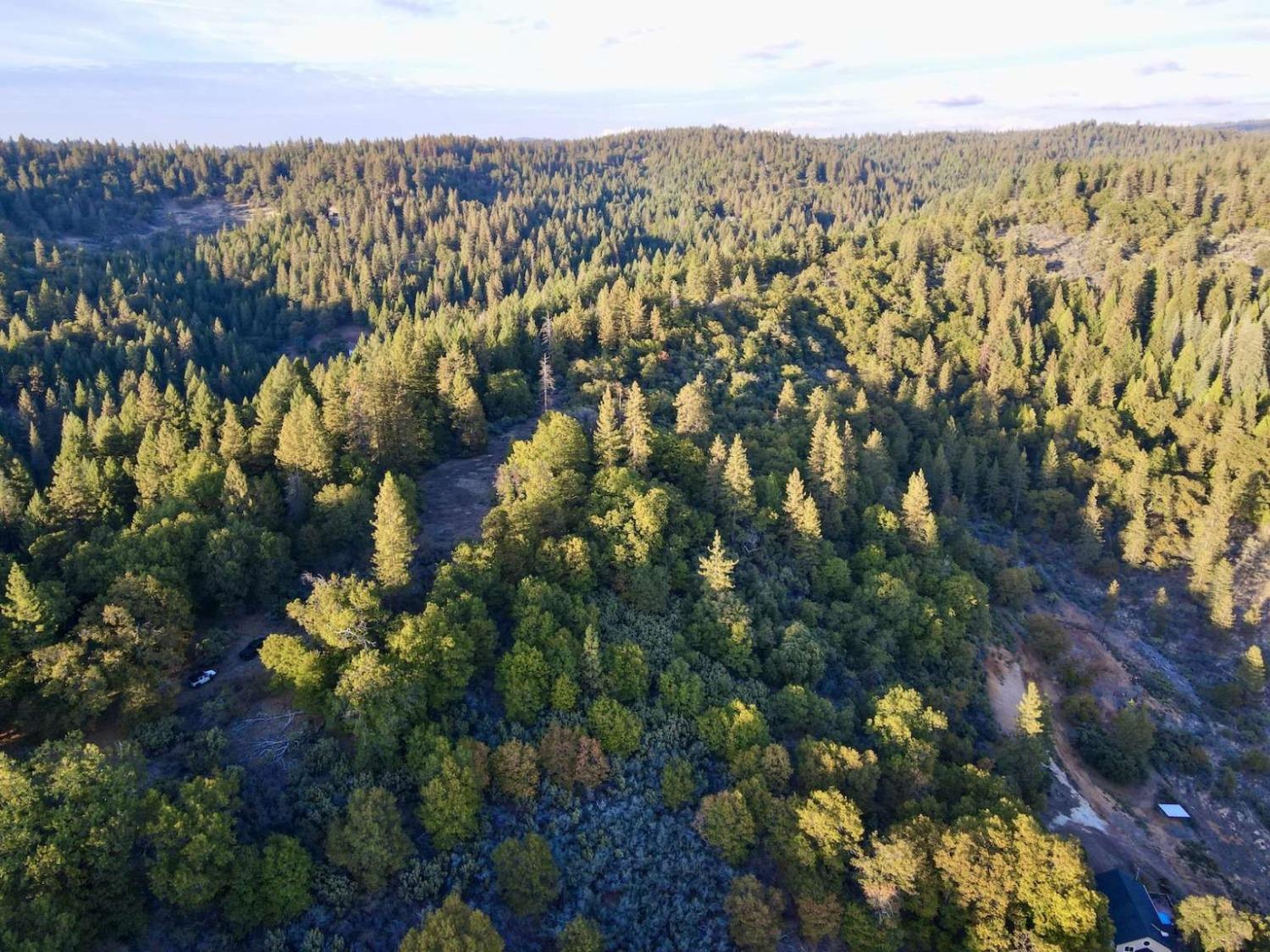 Moonflower Lane, Pollock Pines, California image 19