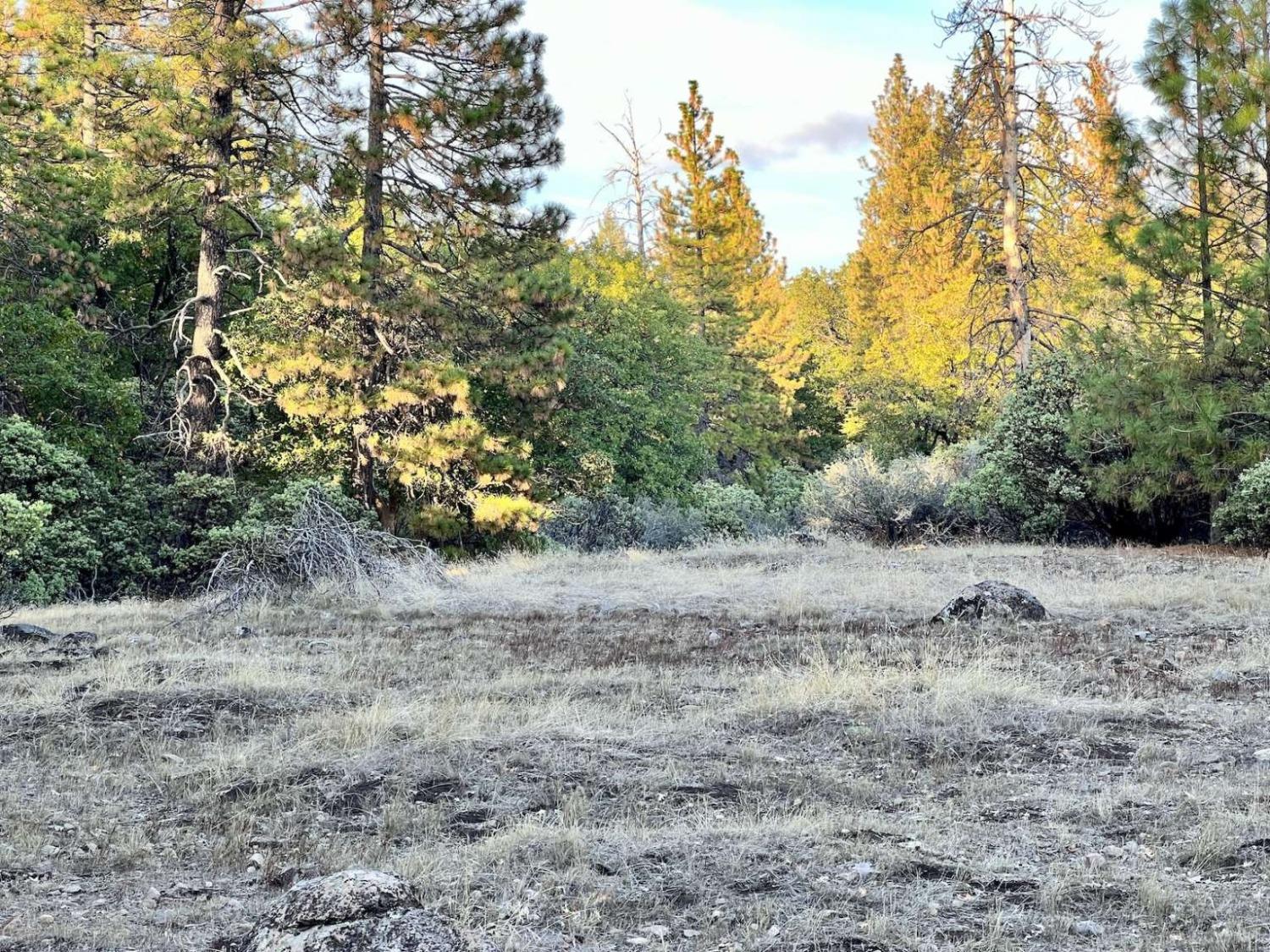 Moonflower Lane, Pollock Pines, California image 11