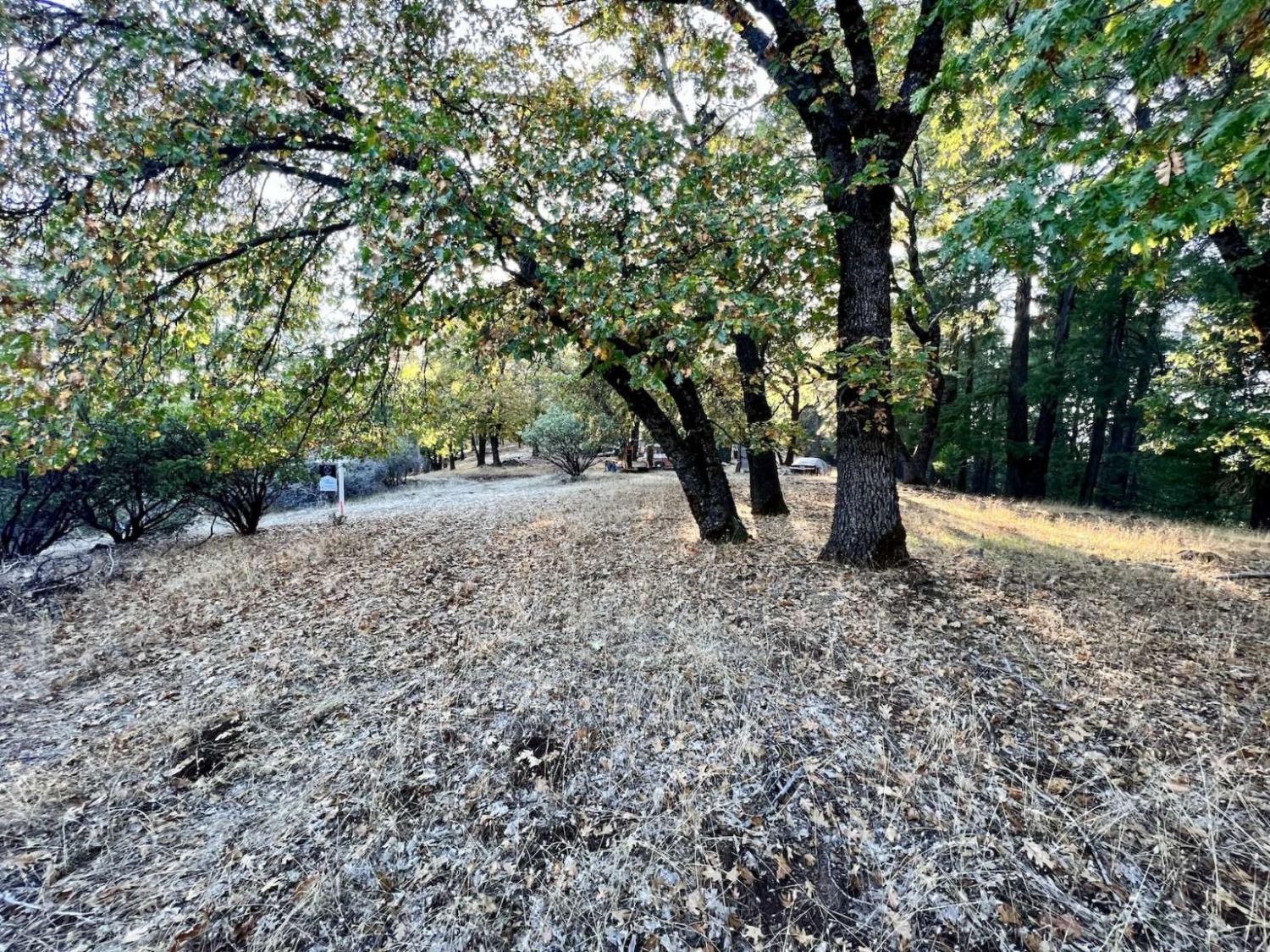 Moonflower Lane, Pollock Pines, California image 20