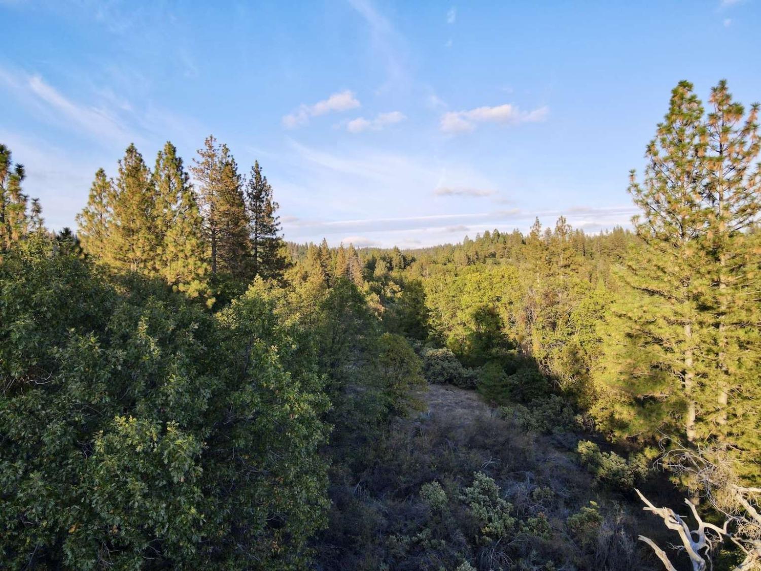 Moonflower Lane, Pollock Pines, California image 17