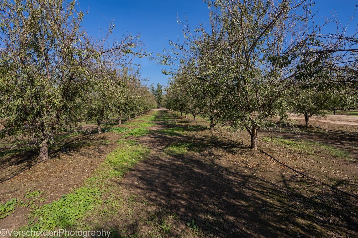 Dallas Road, Hickman, California image 14