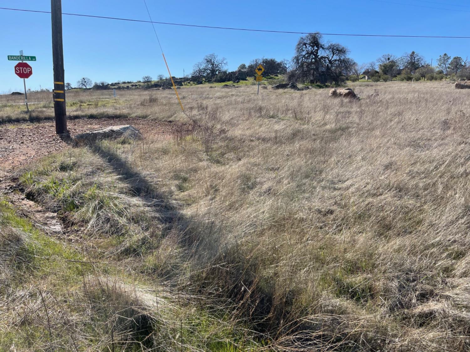 Banderilla, La Grange, California image 6