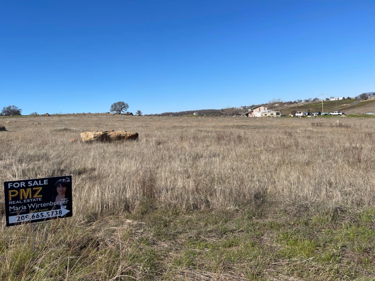 Banderilla, La Grange, California image 11