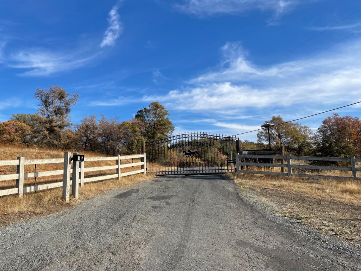 Moccassin Ranch Road, Coulterville, California image 4