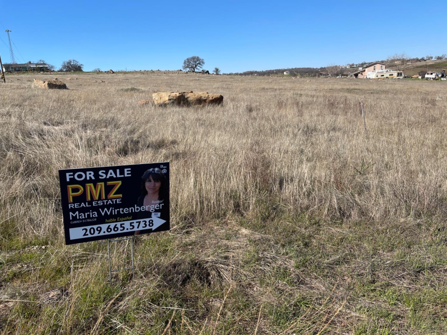 Banderilla, La Grange, California image 12