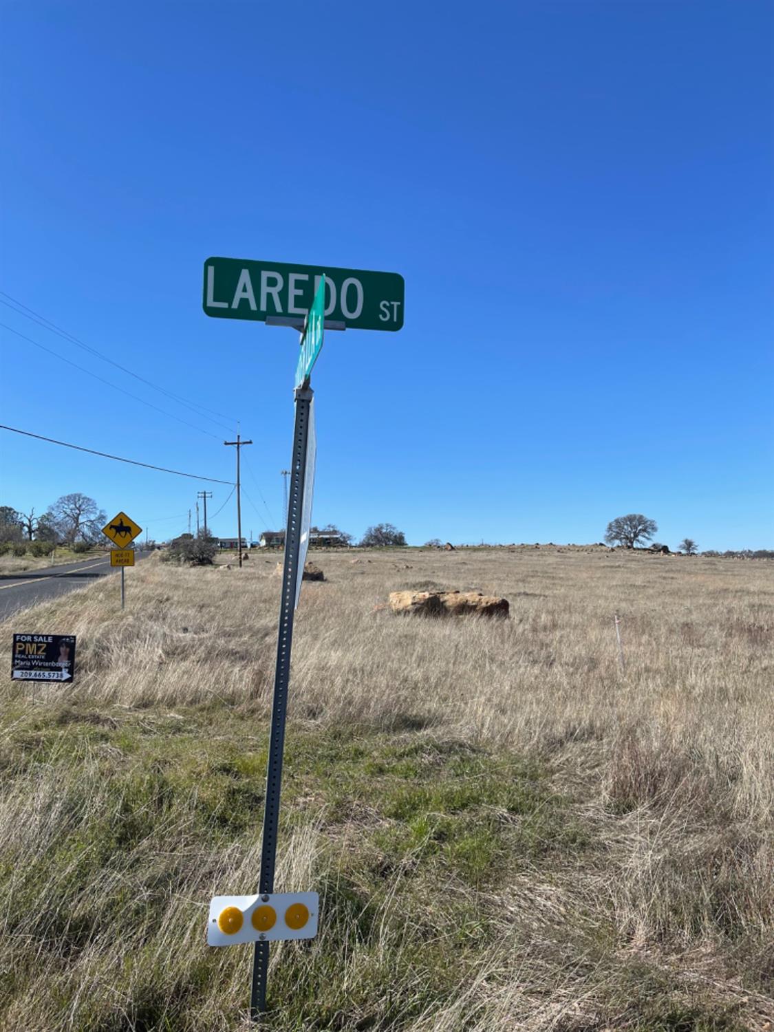 Banderilla, La Grange, California image 8