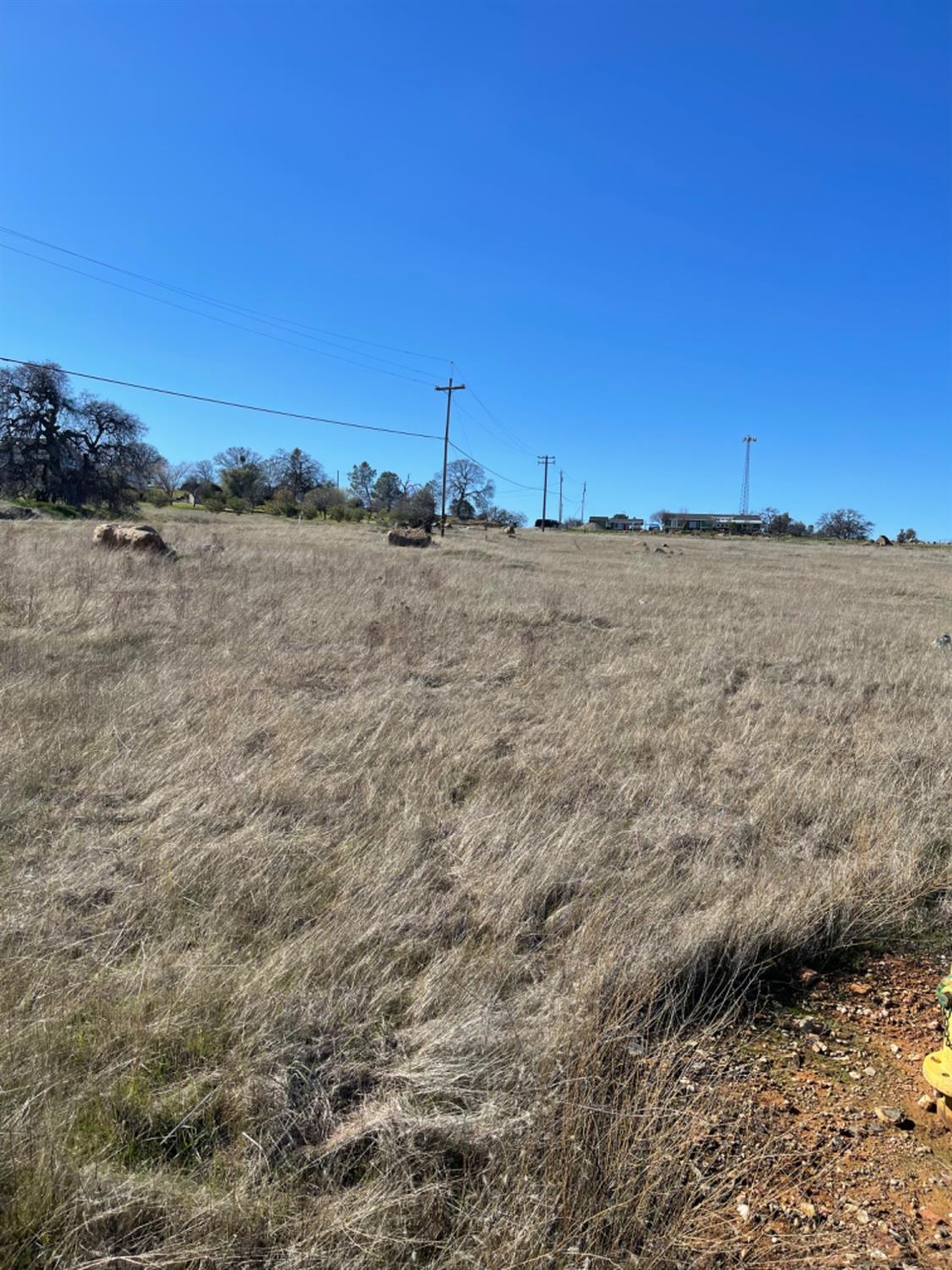 Banderilla, La Grange, California image 5
