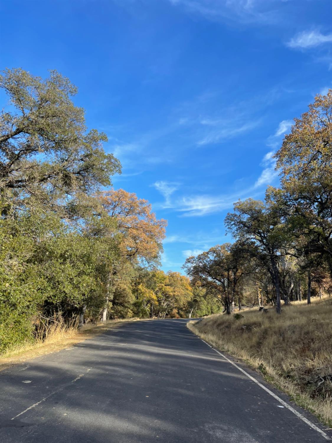 Moccassin Ranch Road, Coulterville, California image 8