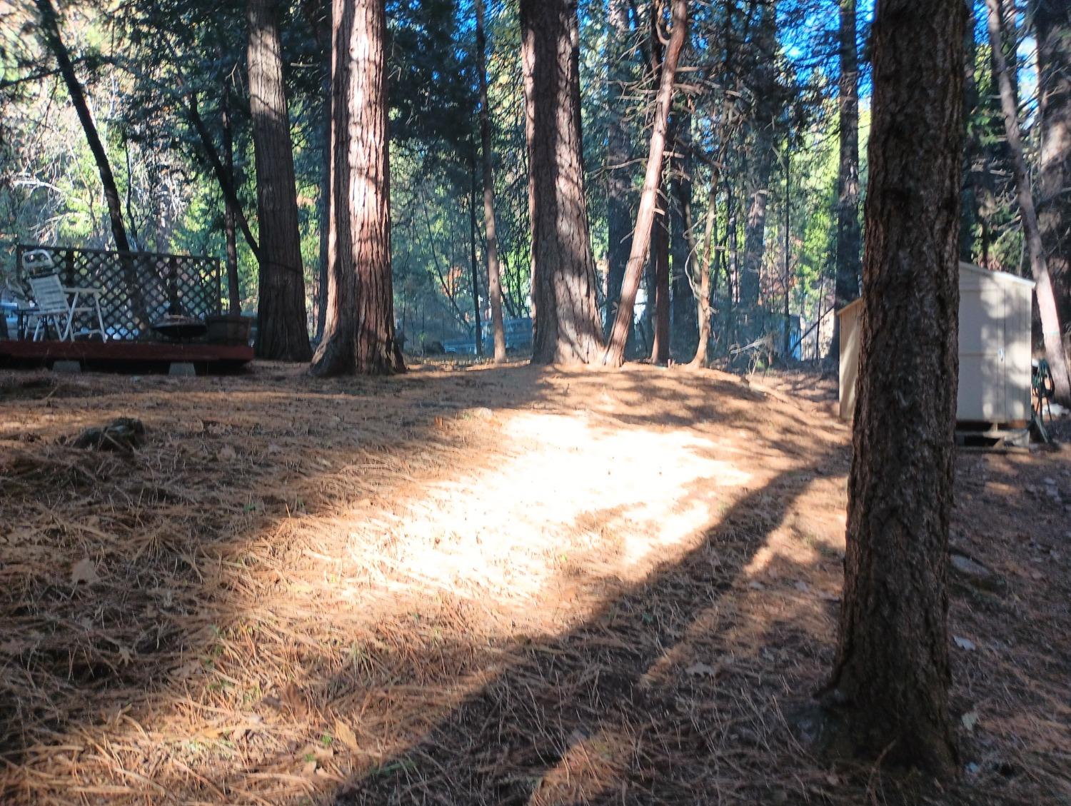 Bucktail Lane, Pollock Pines, California image 5