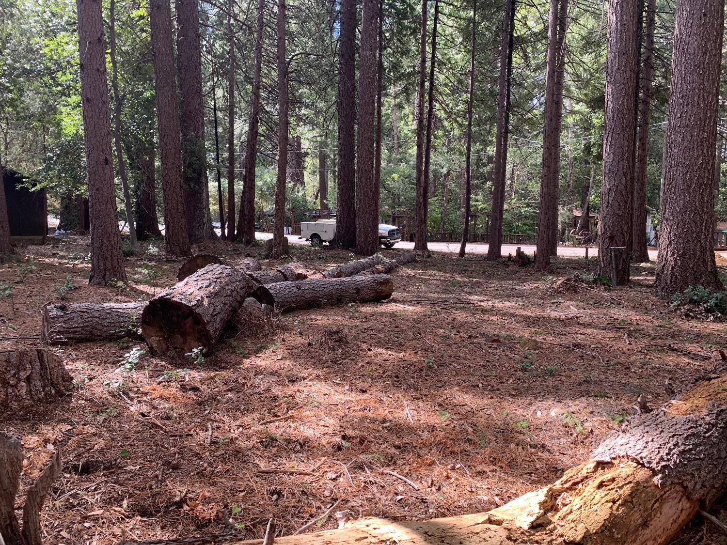 Photo of 12577 Artic Close in Nevada City, CA
