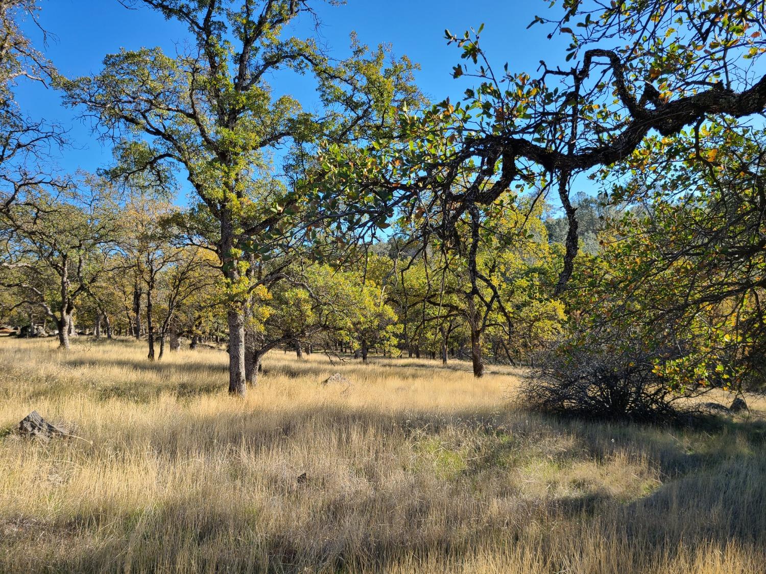 Photo of 15951 Perimeter Rd in Grass Valley, CA