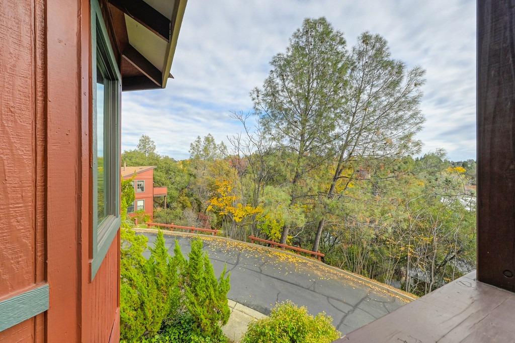 Blackberry Court, Auburn, California image 22