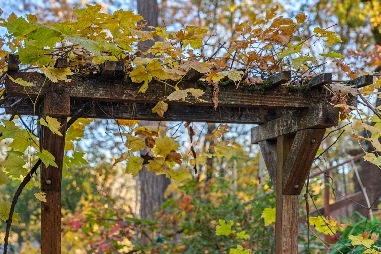 Iyu Camp Lane, Applegate, California image 9