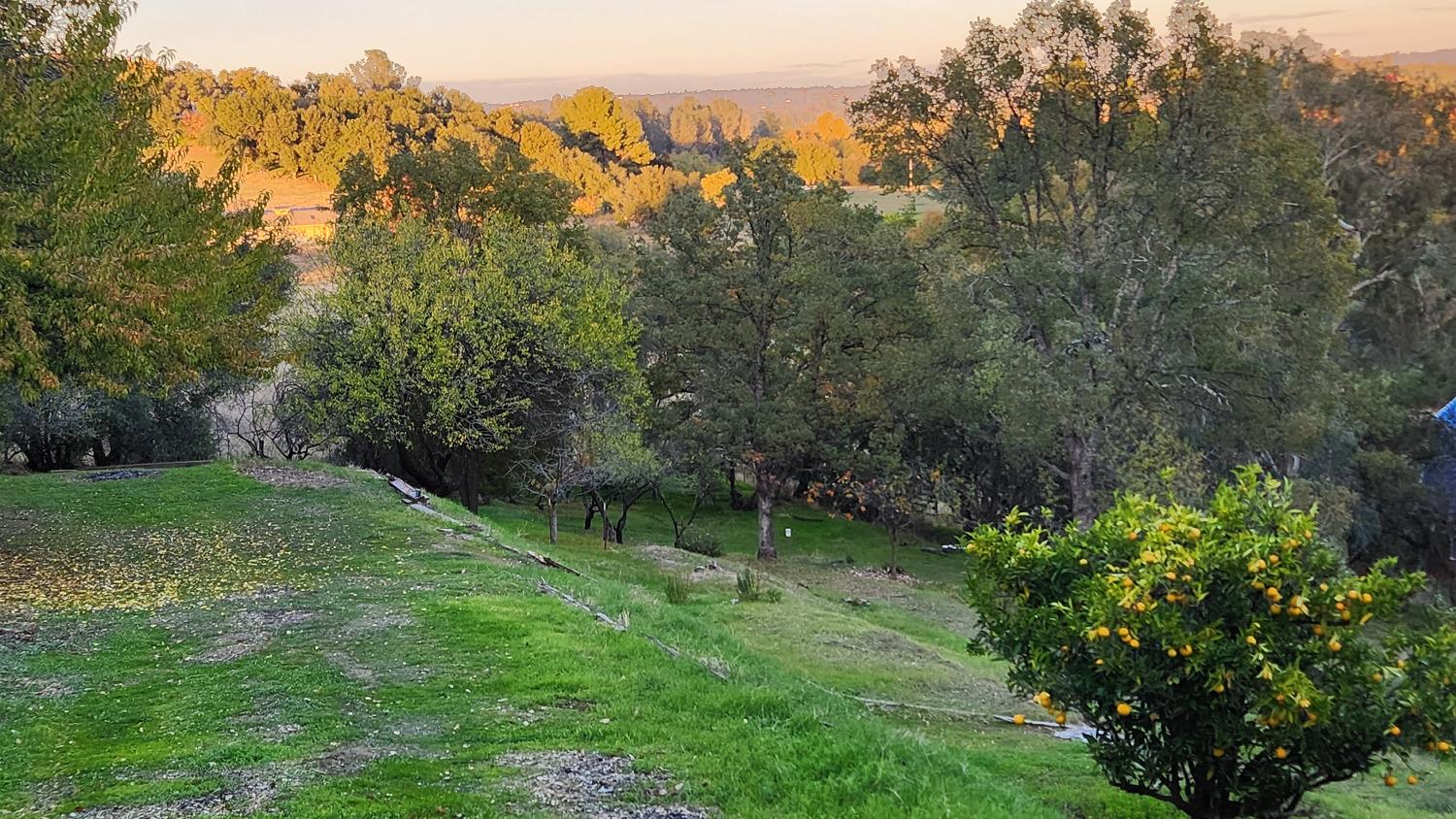 Dawn Drive, Loomis, California image 2