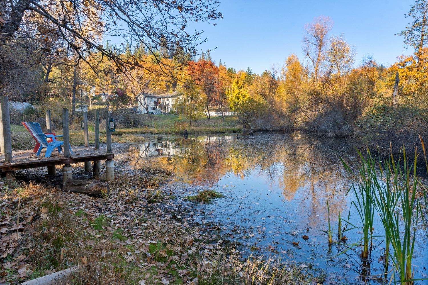 Iyu Camp Lane, Applegate, California image 29