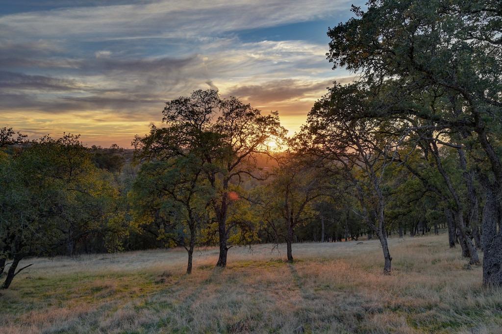 Detail Gallery Image 6 of 22 For 6605 Western Sierra Way, El Dorado Hills,  CA 95762 - – Beds | – Baths