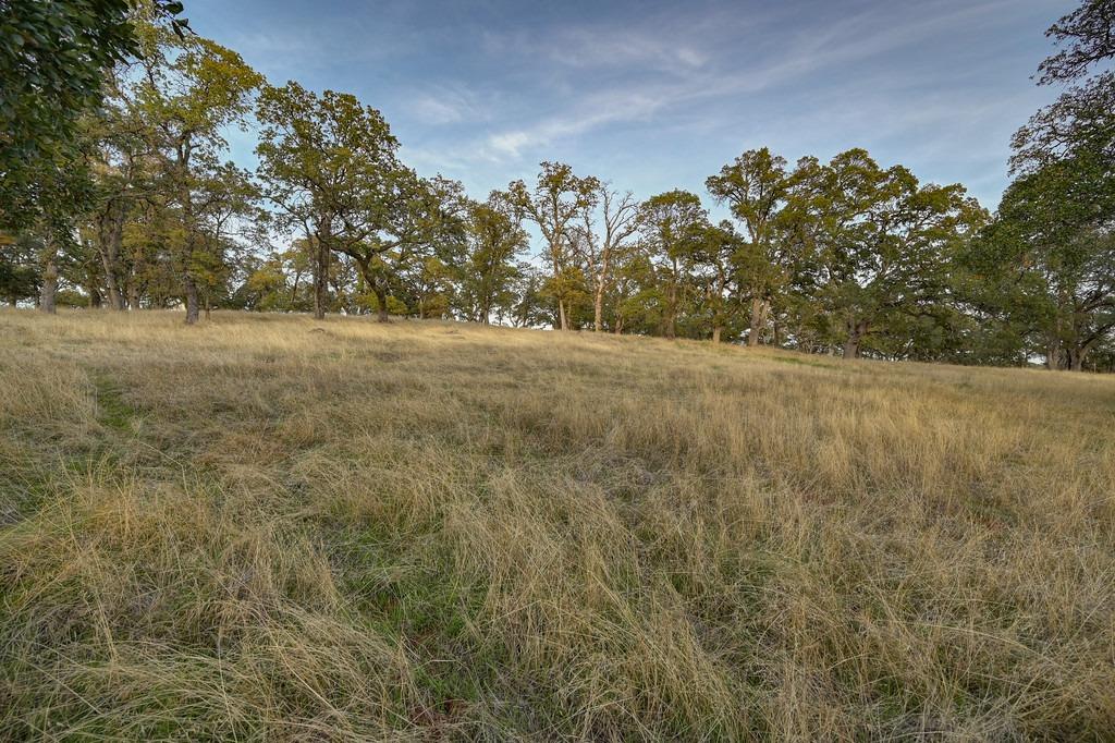 Detail Gallery Image 2 of 22 For 6605 Western Sierra Way, El Dorado Hills,  CA 95762 - – Beds | – Baths