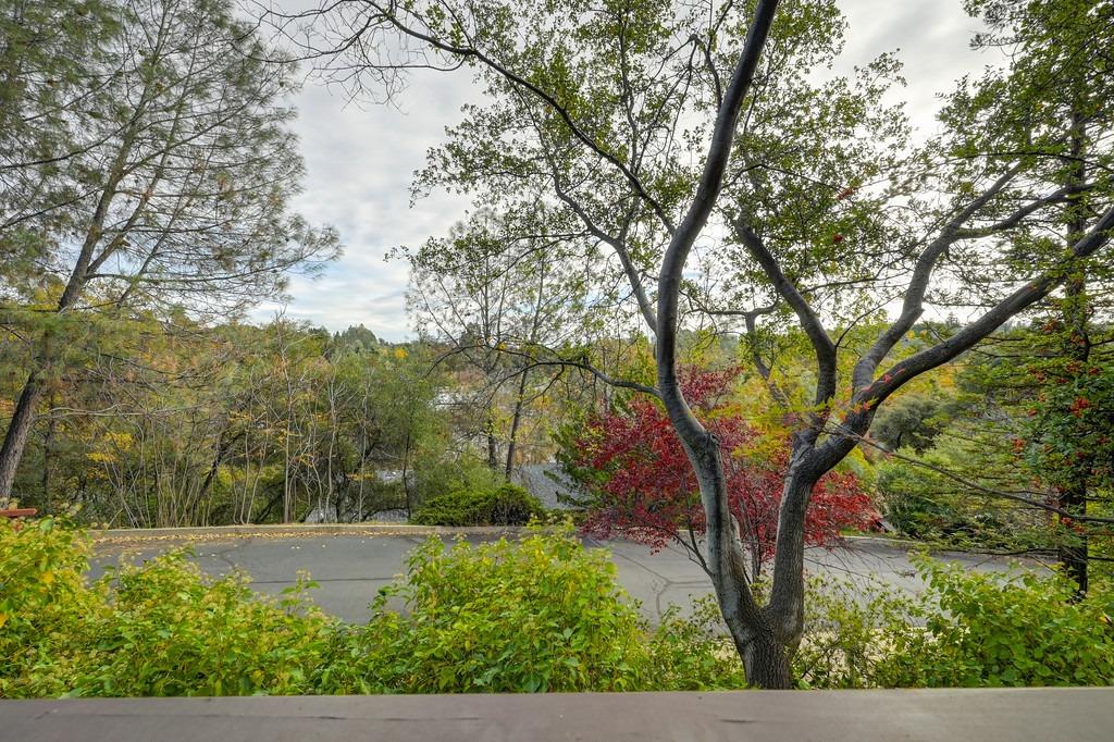 Blackberry Court, Auburn, California image 40