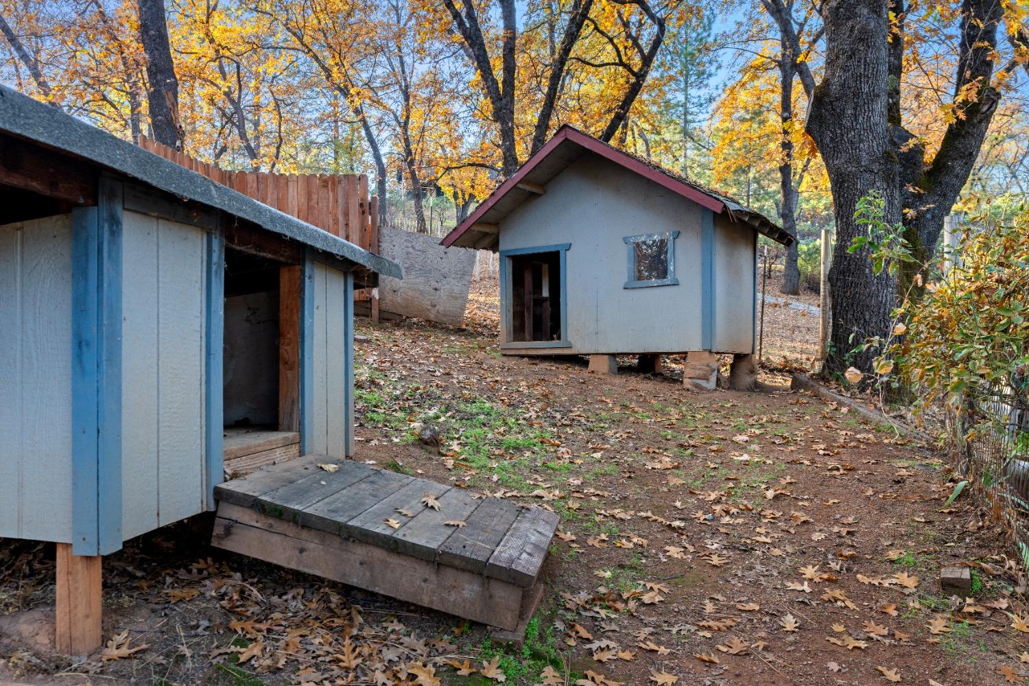 Iyu Camp Lane, Applegate, California image 19