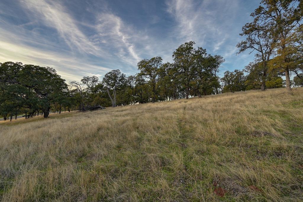 Detail Gallery Image 4 of 22 For 6605 Western Sierra Way, El Dorado Hills,  CA 95762 - – Beds | – Baths