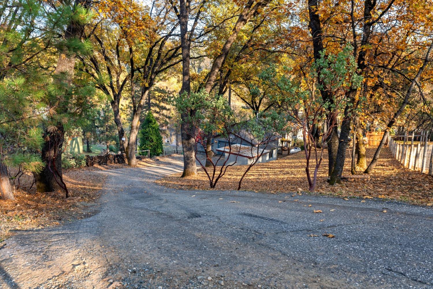 Iyu Camp Lane, Applegate, California image 39