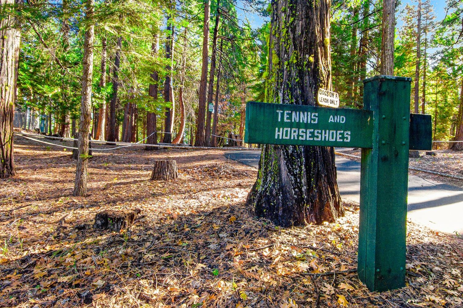 Opal Trail, Pollock Pines, California image 16