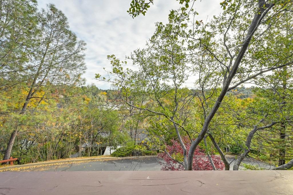 Blackberry Court, Auburn, California image 21