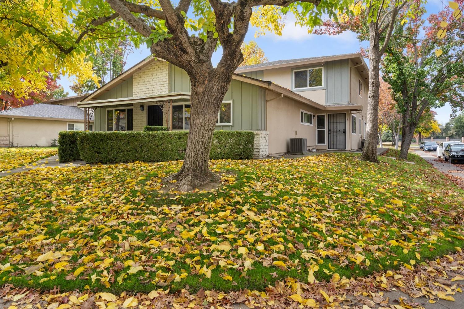 Photo #2: 223113496 Listing 