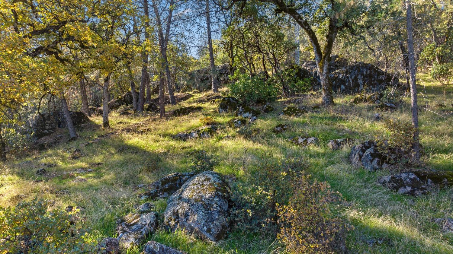 Indian Springs Road, Penn Valley, California image 21