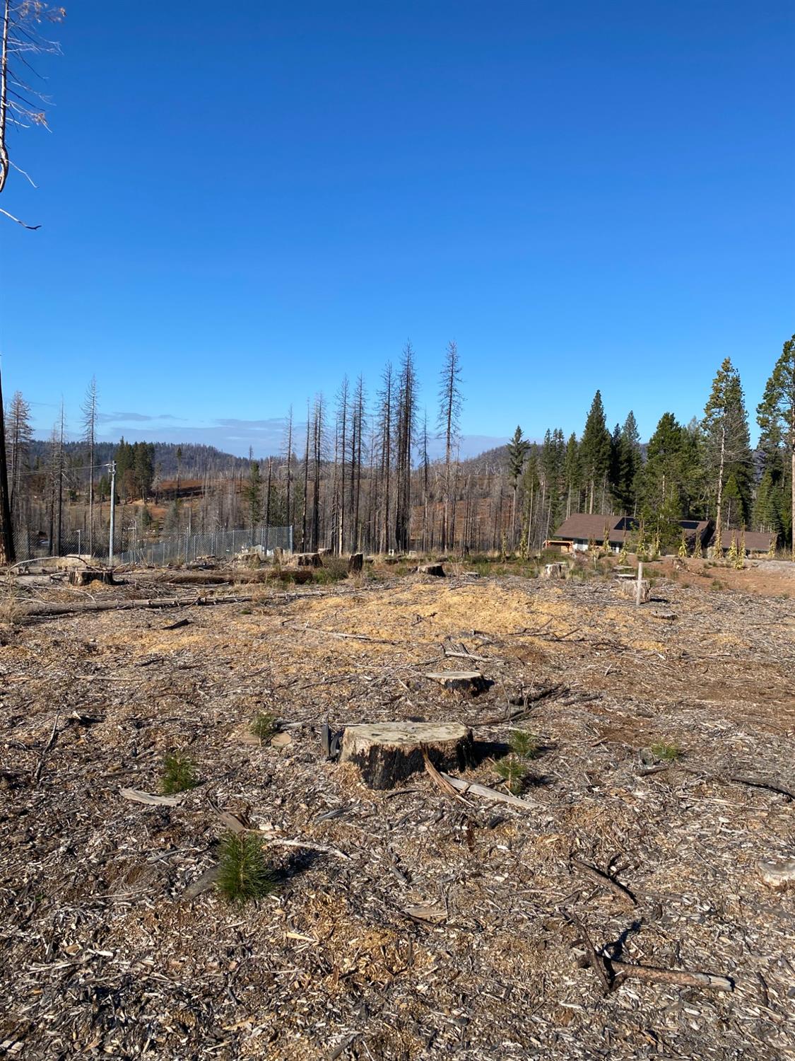 Sciaroni Road, Grizzly Flats, California image 1