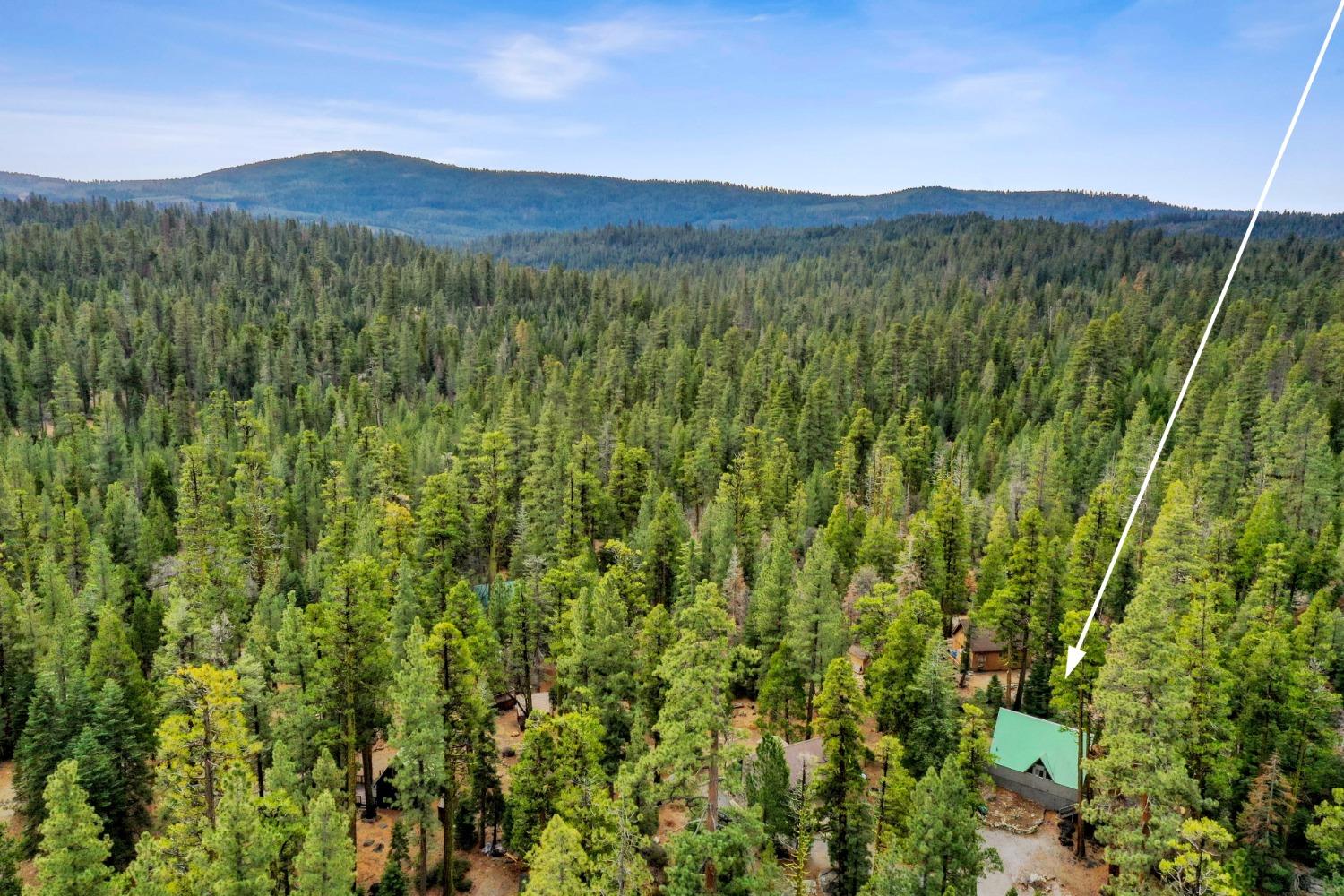 Gerle Creek, Pollock Pines, California image 2